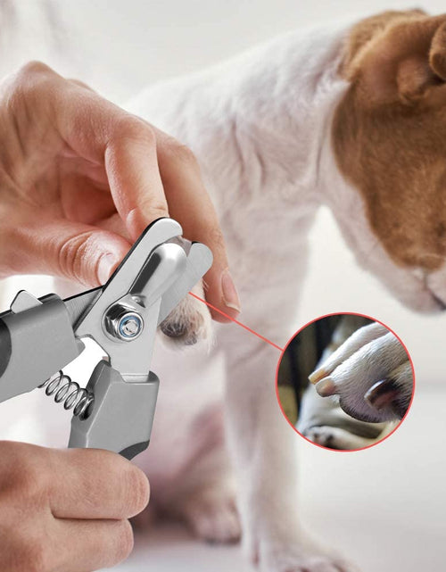 Load image into Gallery viewer, Dog Nail Clippers,Dog Nail Trimmers for Large Breed Dog with Quick Sensor,Safari Professional Cat Nail Clipper with Safety Guard and Nail File.
